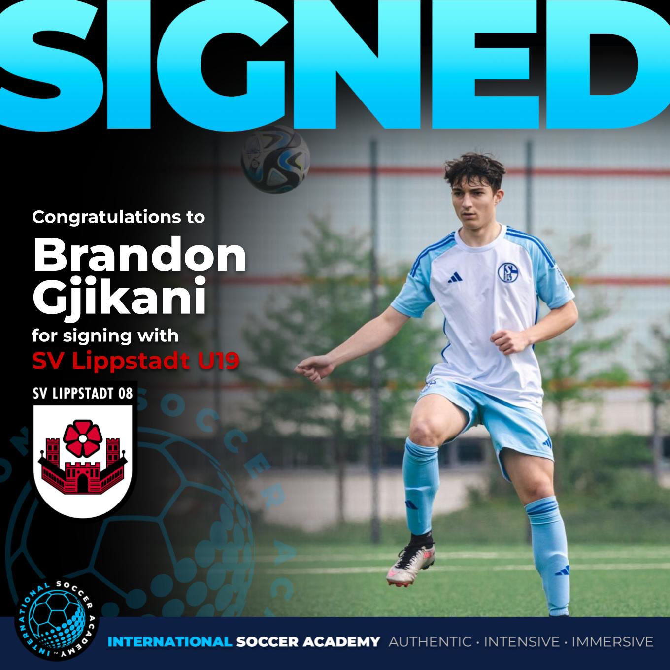 Brandon Gjikani • SV Lippstadt U19